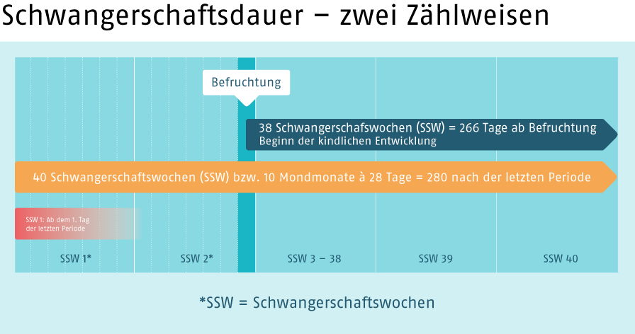 Schwangerschaftsdauer (Quelle: BIÖG)